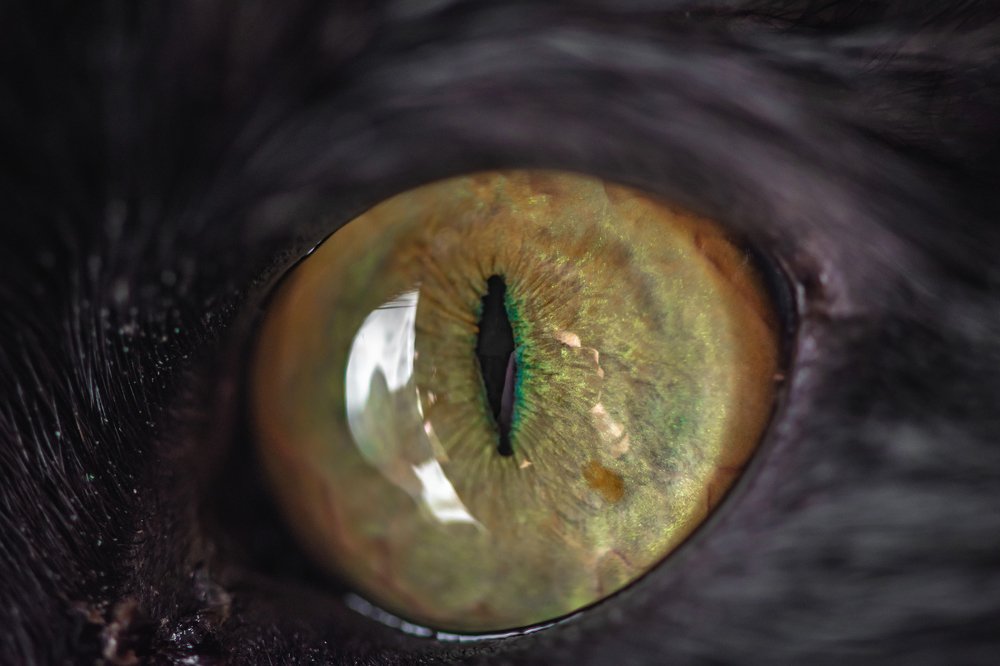 Photograph by Евгений