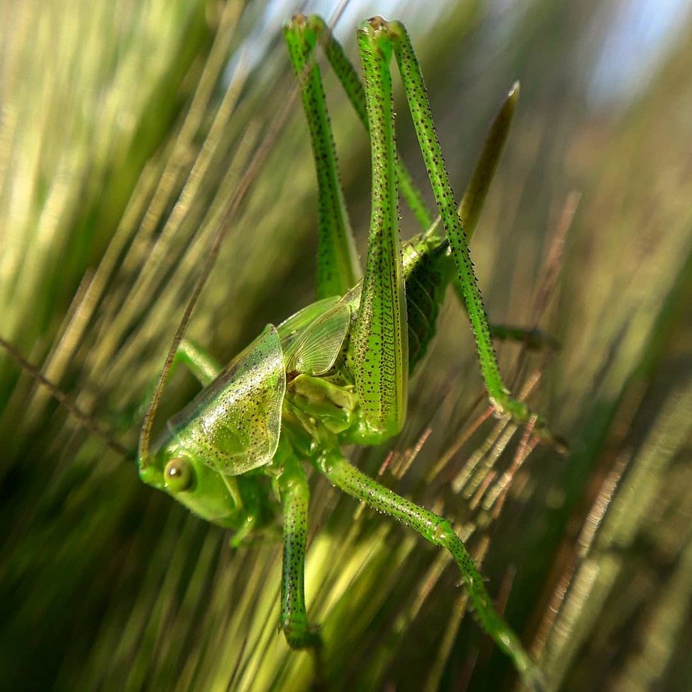 Photograph by Оксана Кочубеева