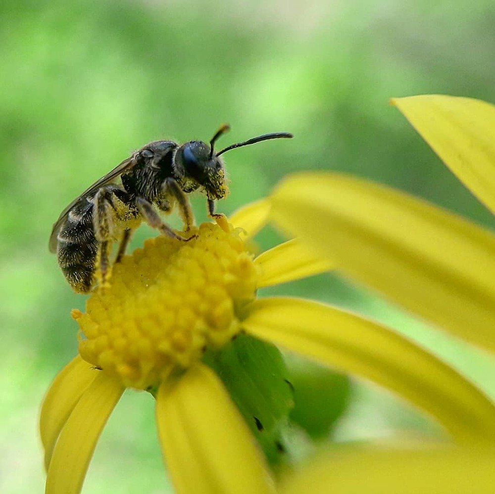 Photograph by Оксана Кочубеева