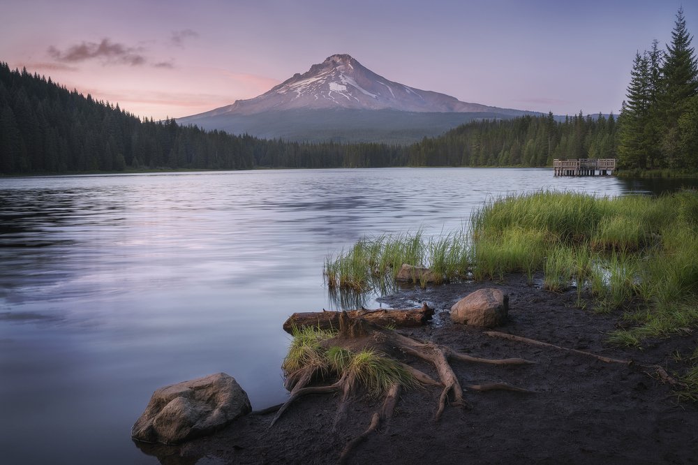 Photograph by Anastasiya Vasilyeva