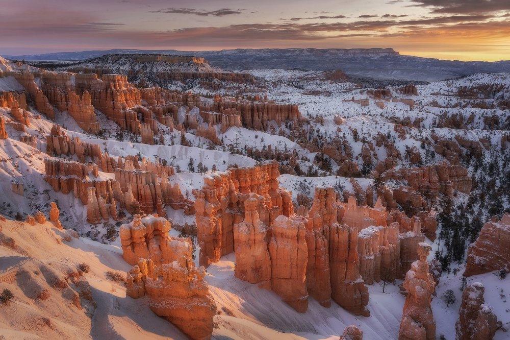 Photograph by Anastasiya Vasilyeva