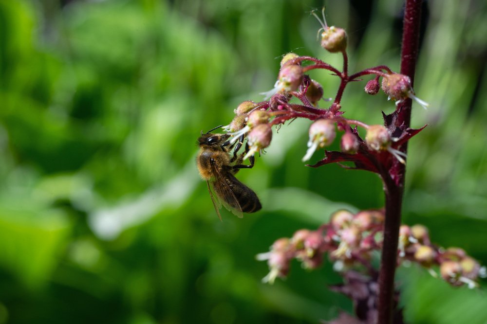 Photograph by Павел Юнусов