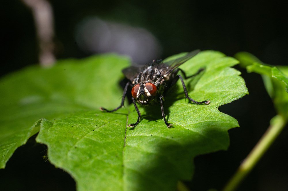 Photograph by Павел Юнусов