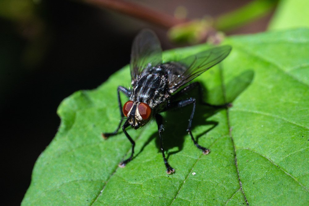 Photograph by Павел Юнусов