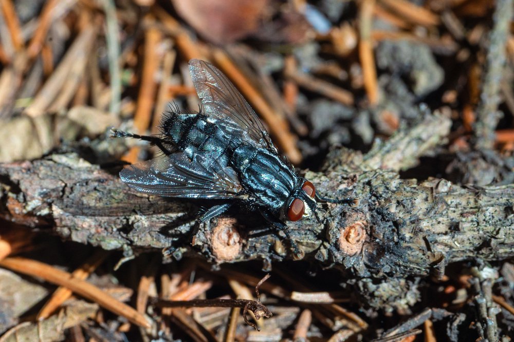 Photograph by Павел Юнусов