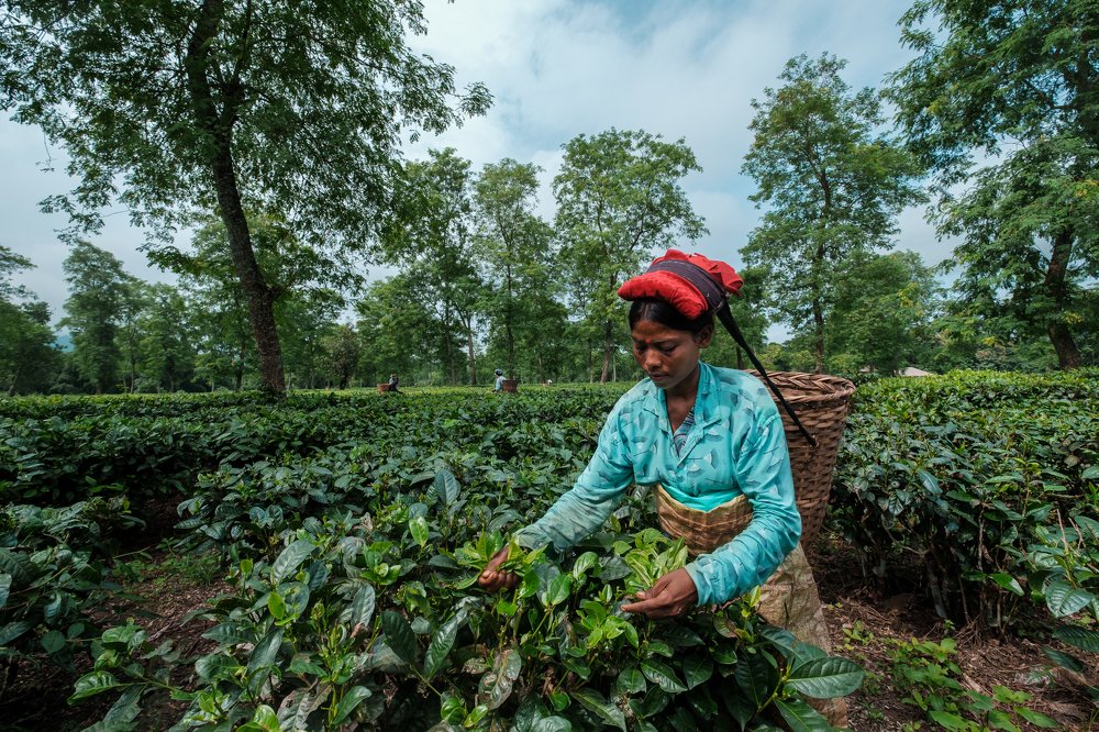 Photograph by uma sankar das bhuyan