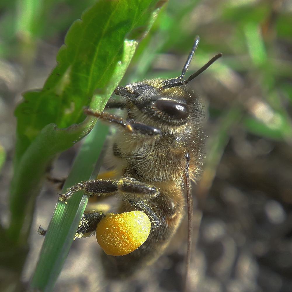 Просто устала...