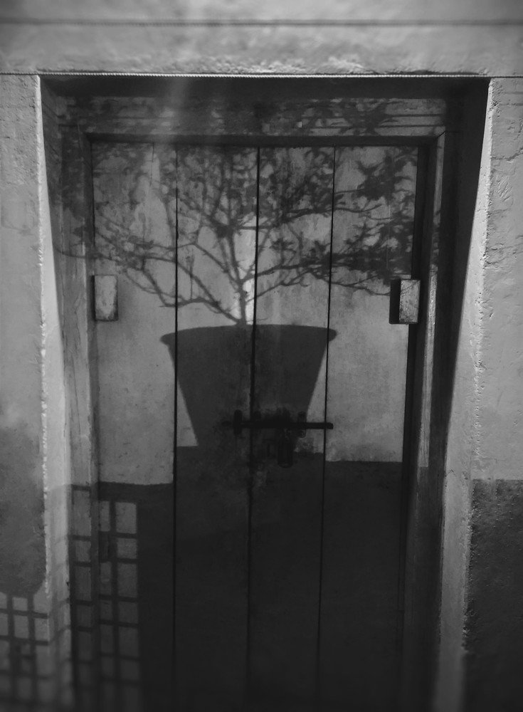 Photograph by Swapnil Bavaria