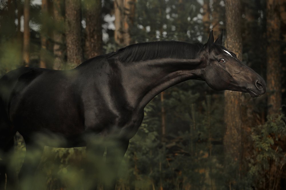 Photograph by Дарья Ералева