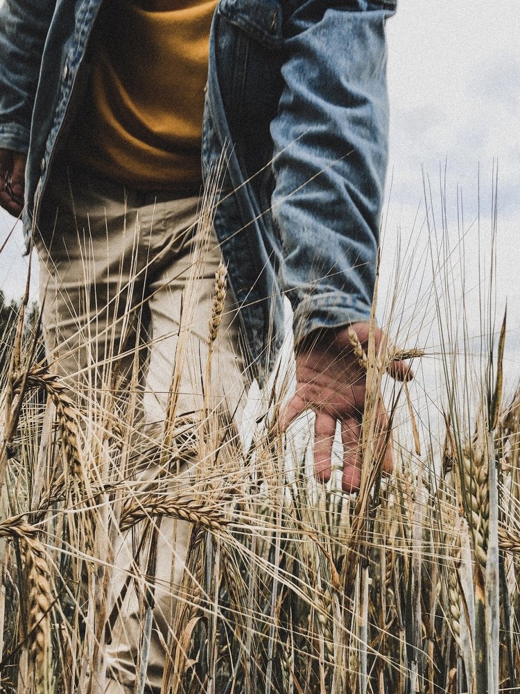 Photograph by Дмитрий Сергеев