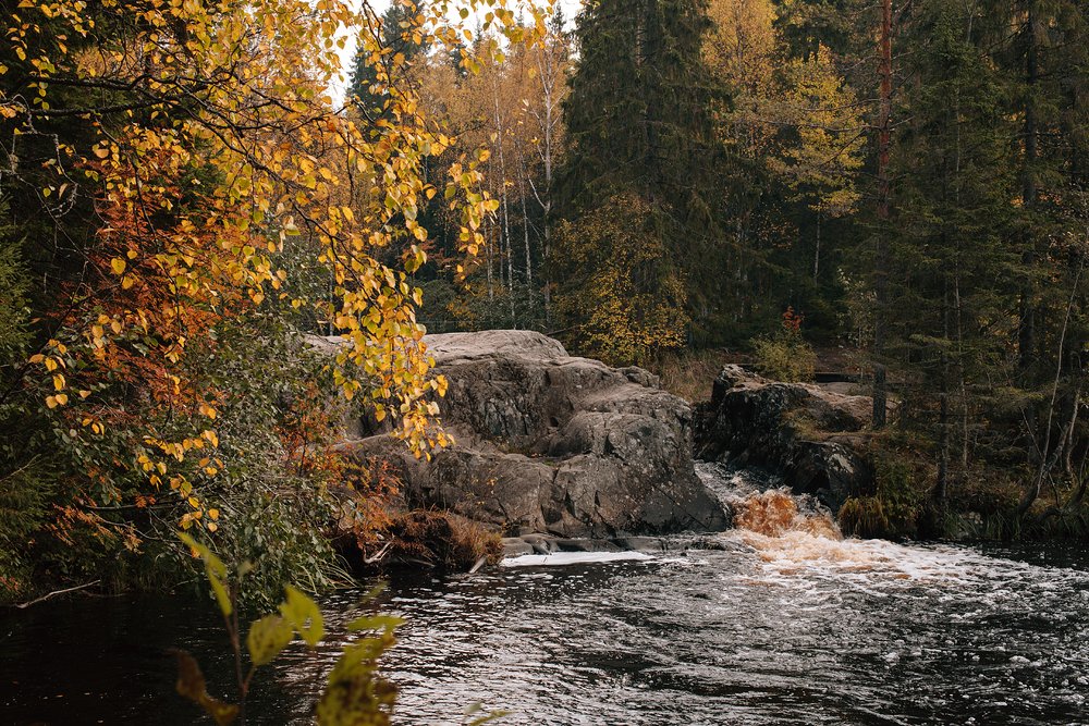 Photograph by Марина Петухова