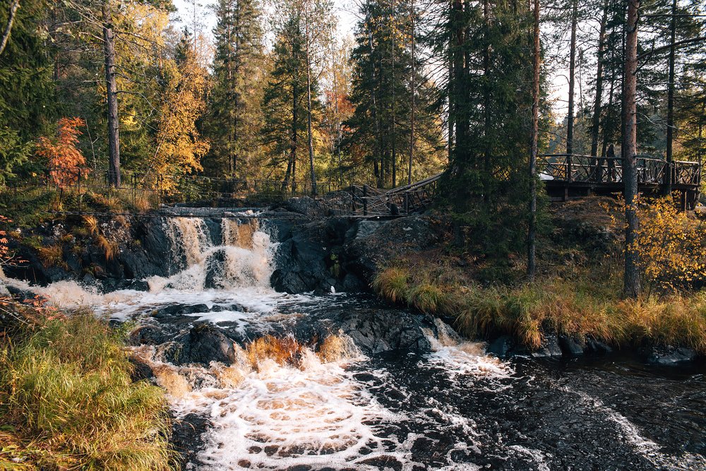 Photograph by Марина Петухова