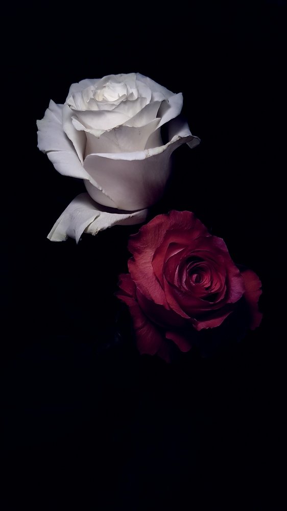 Photograph by Ирина Тимофеева