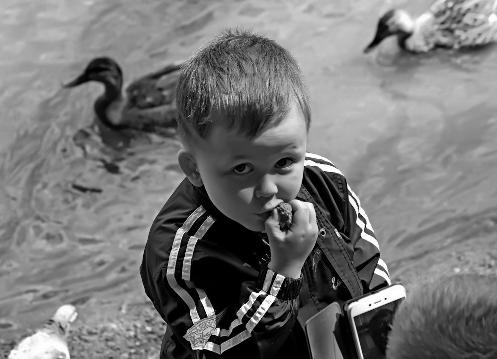 Photograph by Николай Диордиев