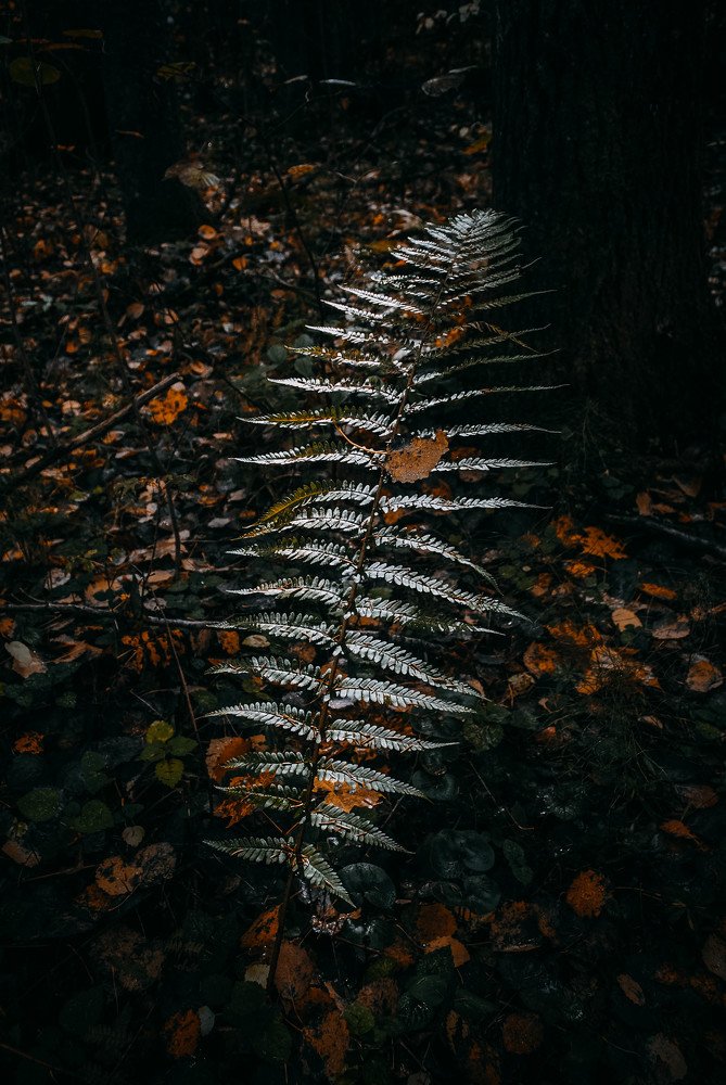 Photograph by Сергей Доржиев