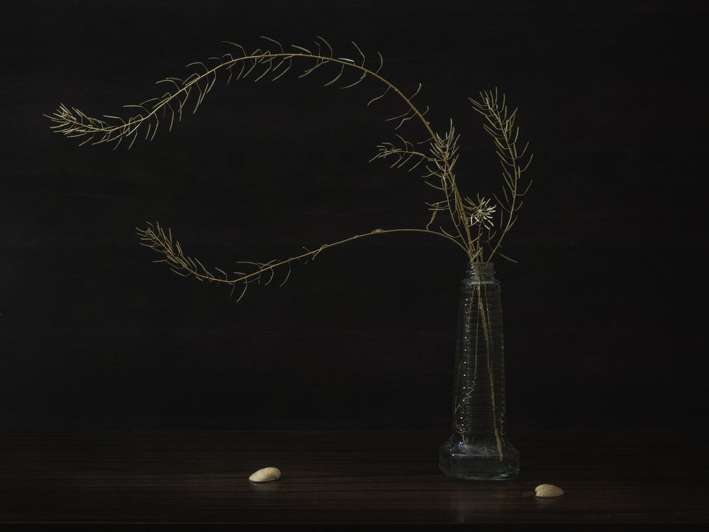 Photograph by Ольга Савостина