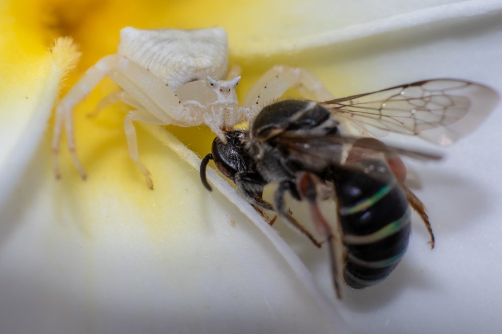 Photograph by Vinod Kumar Kulkarni