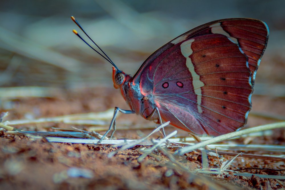 Photograph by Vinod Kumar Kulkarni