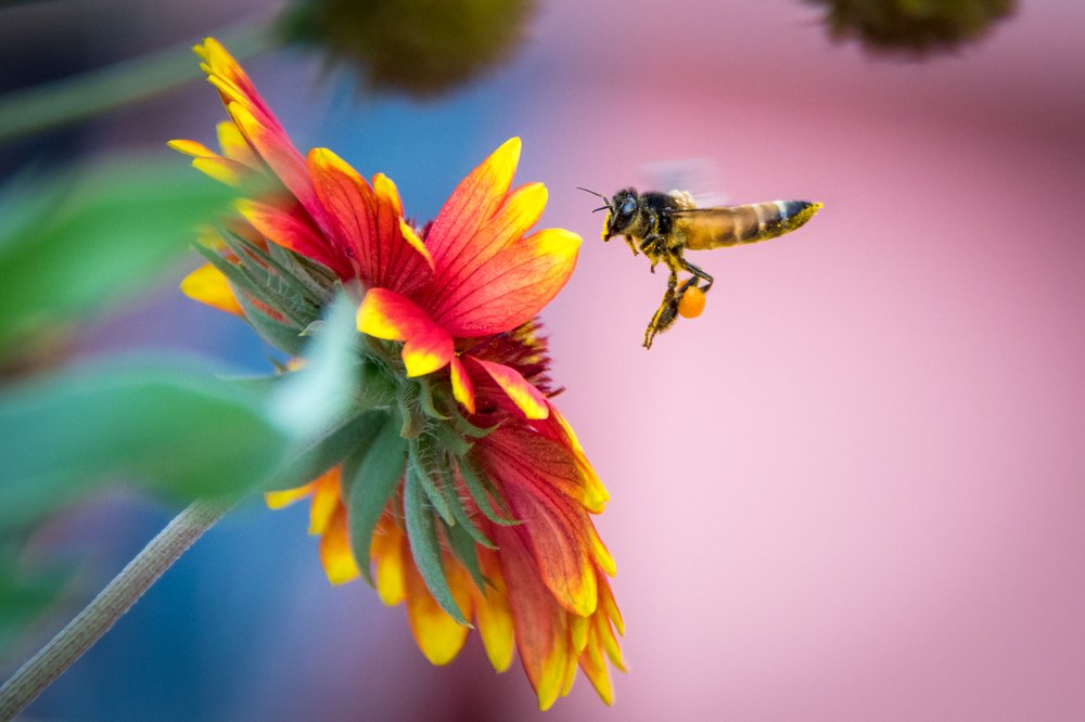Photograph by Vinod Kumar Kulkarni