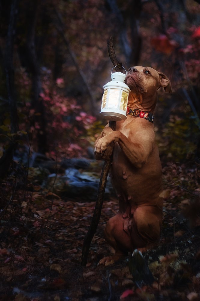 Photograph by Ирина Корх