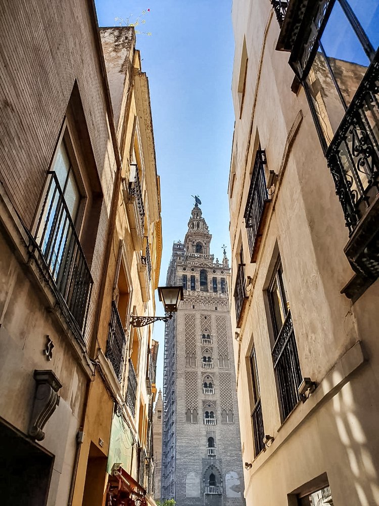 Photograph by Александр Ковалёв