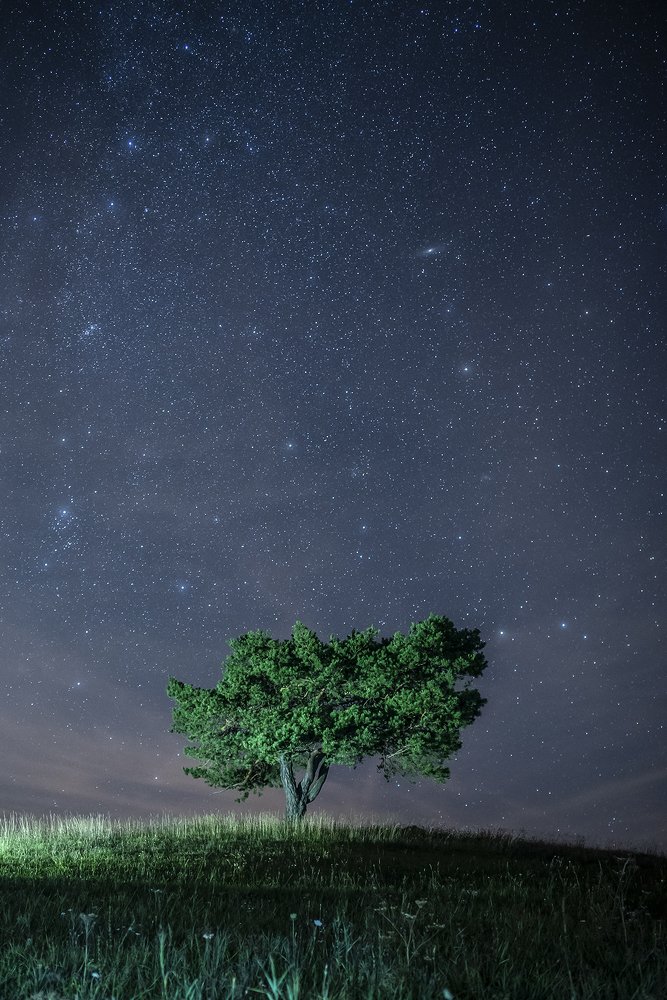 Photograph by Radim Ziman