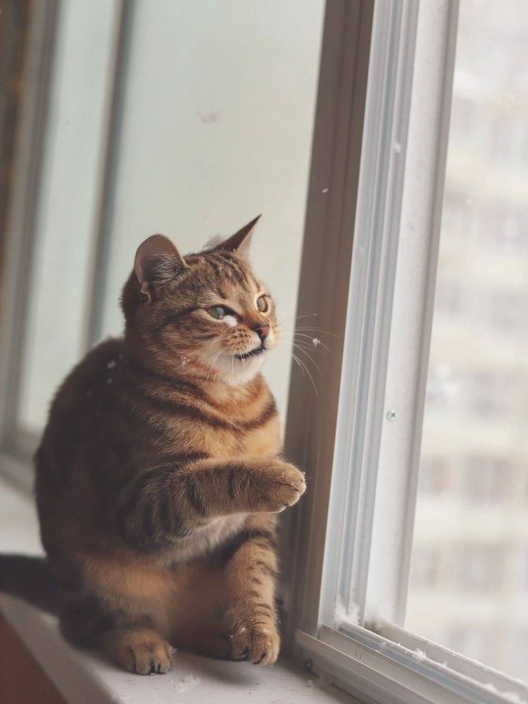 Photograph by Анастасия Власова