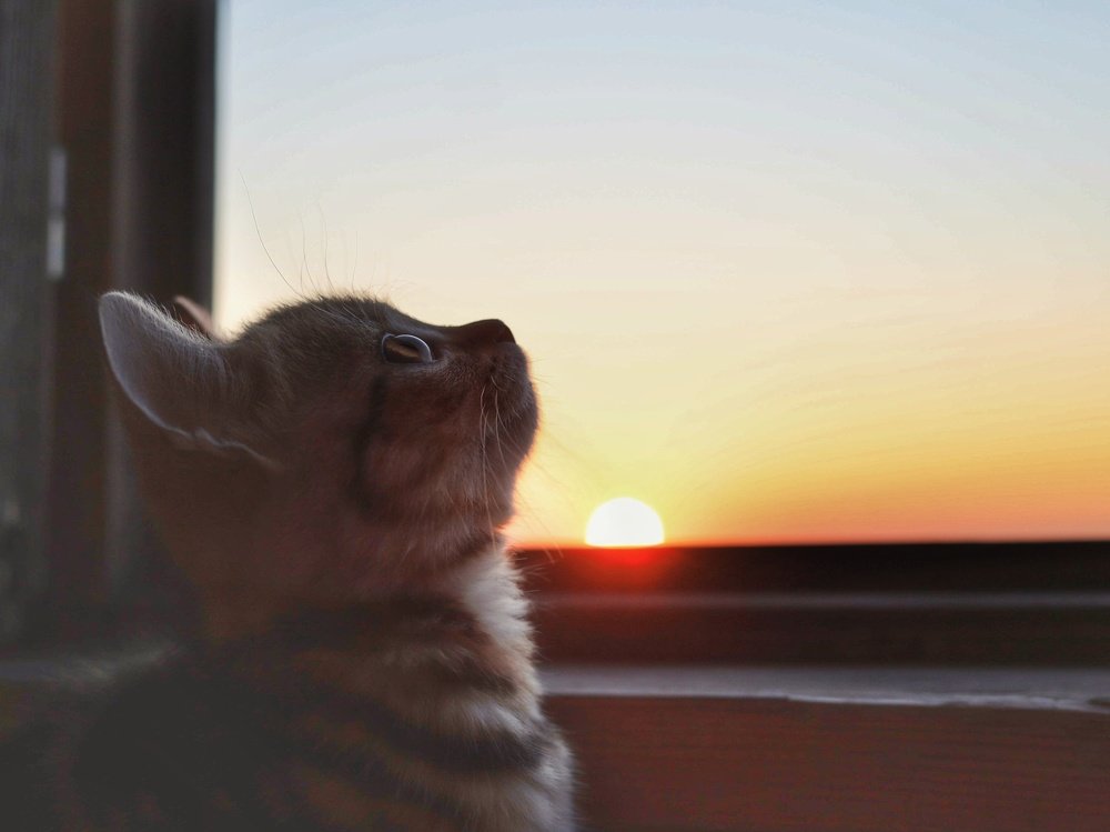 Photograph by Анастасия Власова