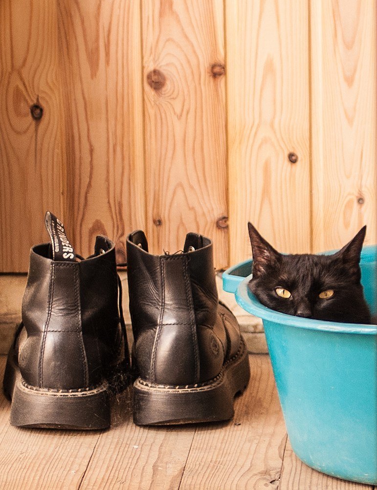 Фотография автора Мария Веселова