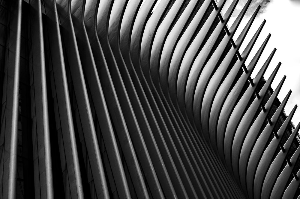 Photograph by Fabien Sans