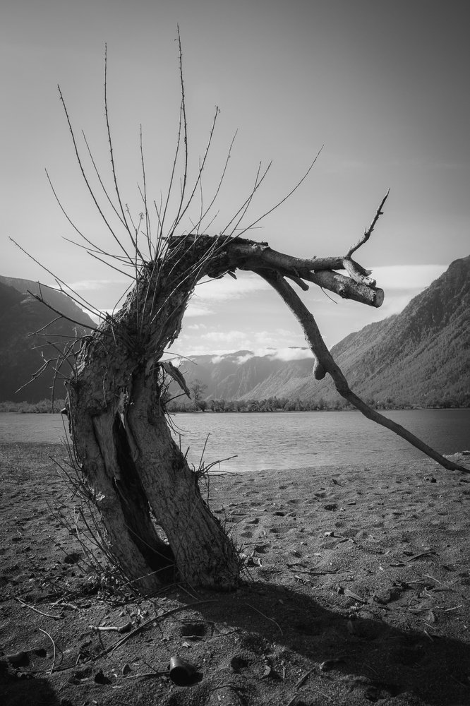 Photograph by Елена Станькова