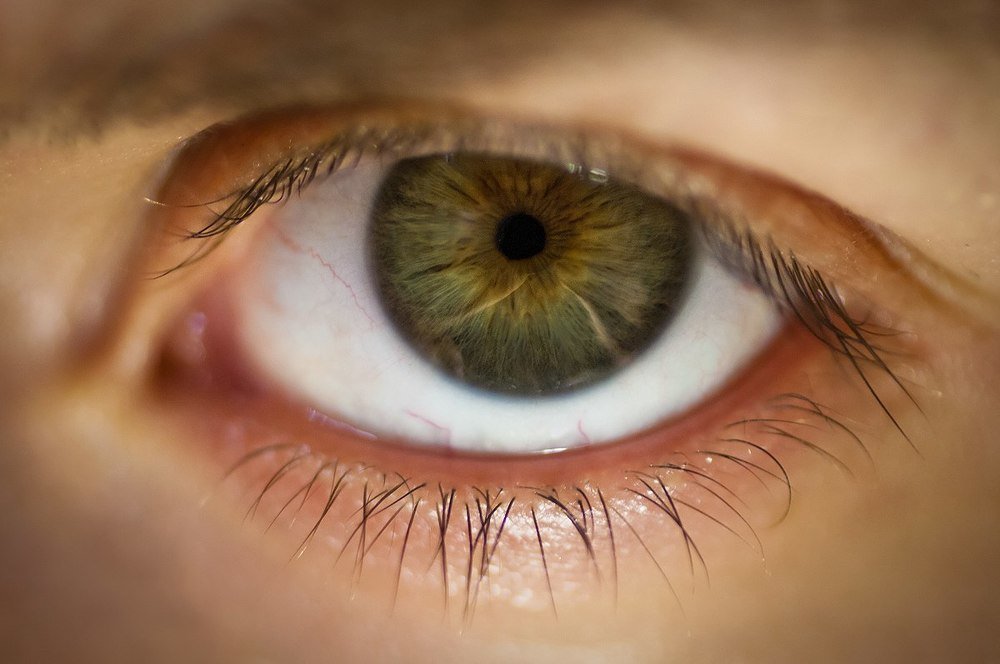 Фотография автора Мария Веселова