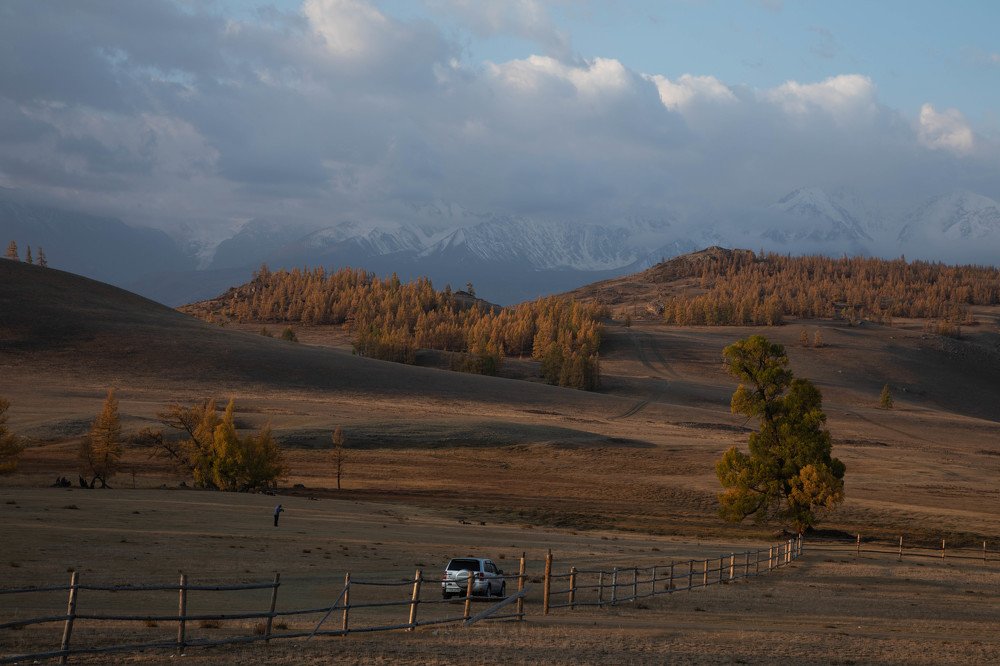 Утро в Курайской степи