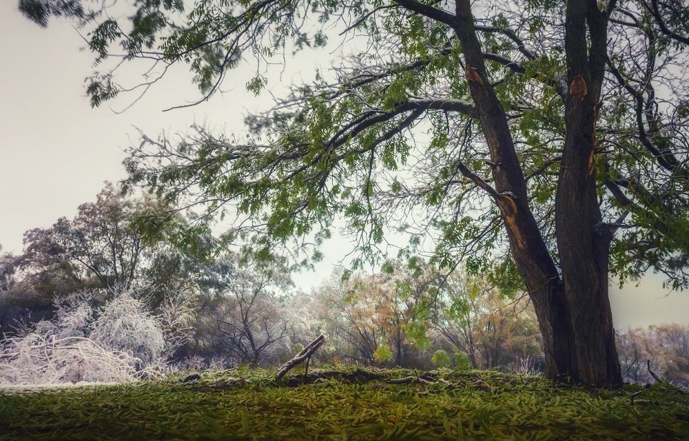 Photograph by Максим Митченко