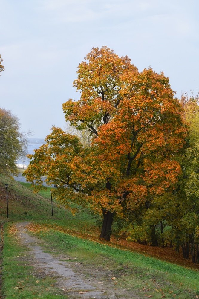 Photograph by Ирина Курицына