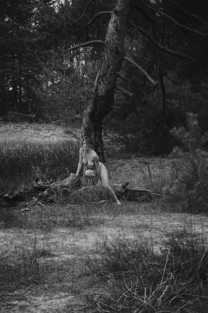 Photograph by Евгения Драбкина