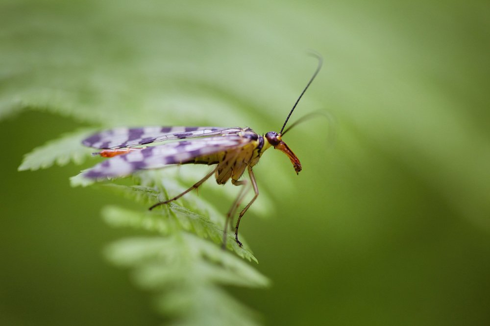 Photograph by Виктория Нарчук