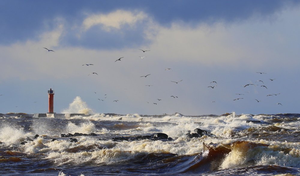 Шторм на Балтике.