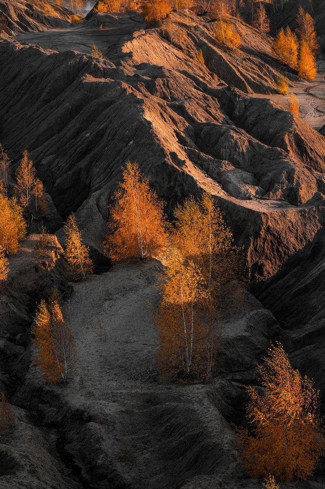 Photograph by Даниил Рождественский