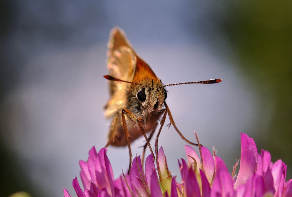 Photograph by Рустам Афлятунов