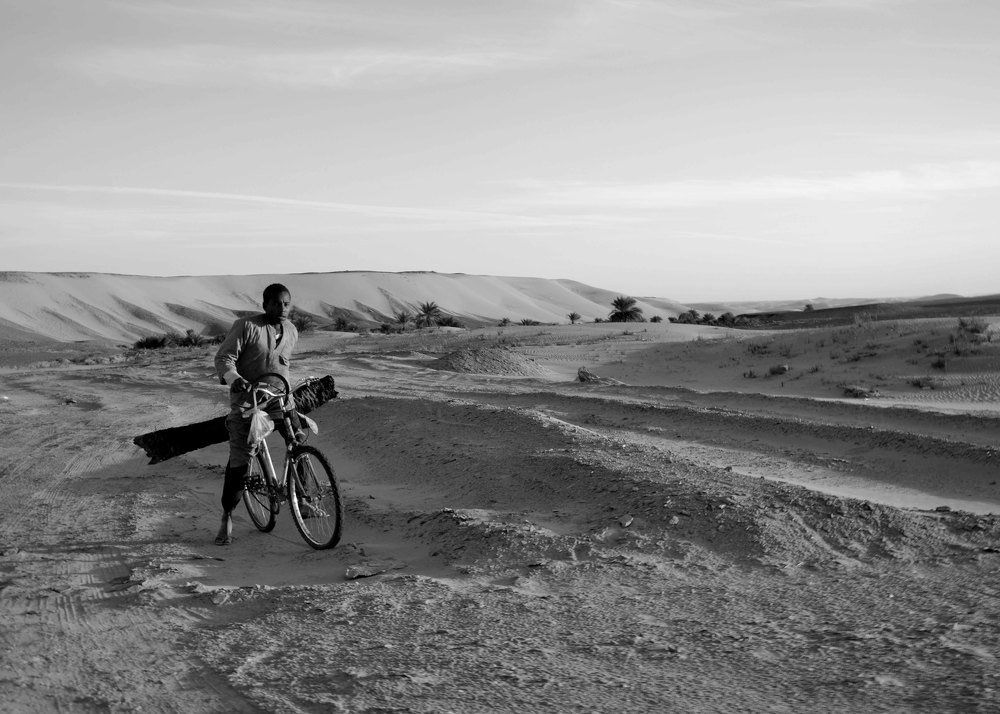 le bois à la bicyclette