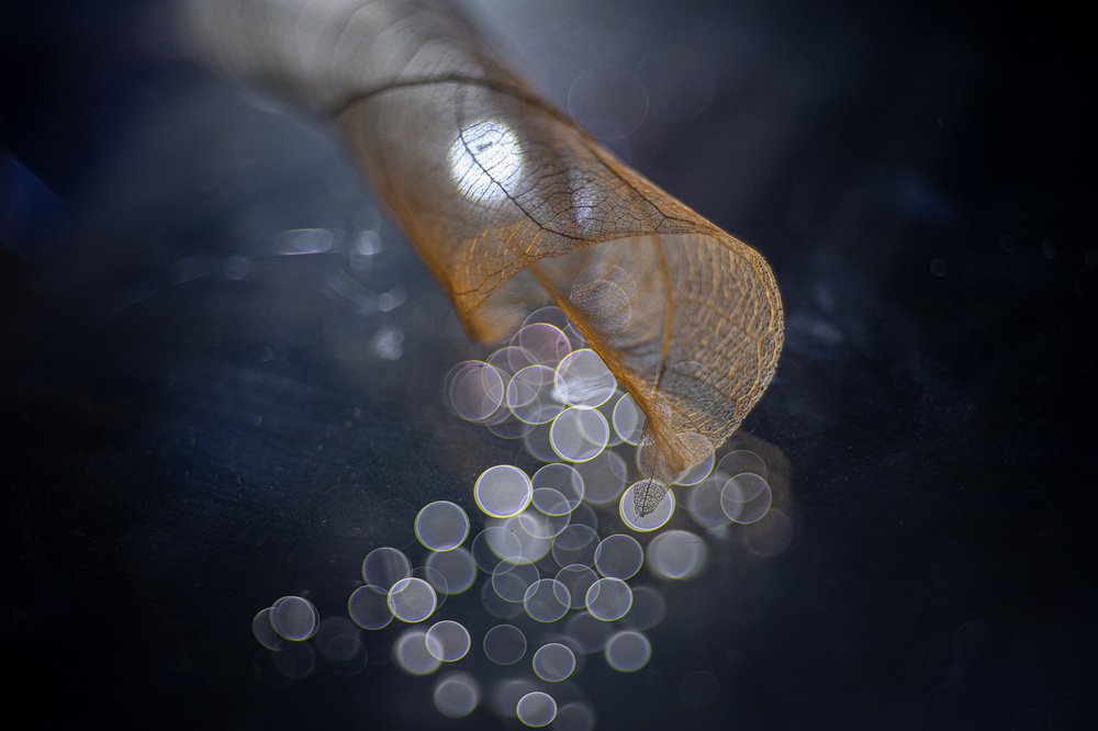 рог изобилия