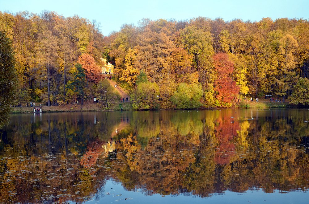 Фотография автора Людмила Куприянова