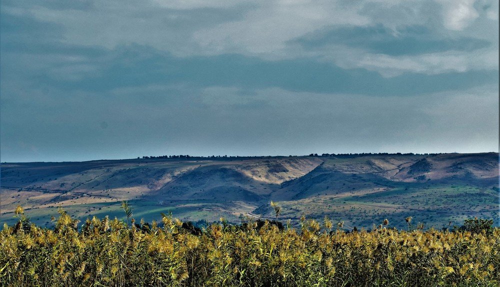 Photograph by Marina Eremin