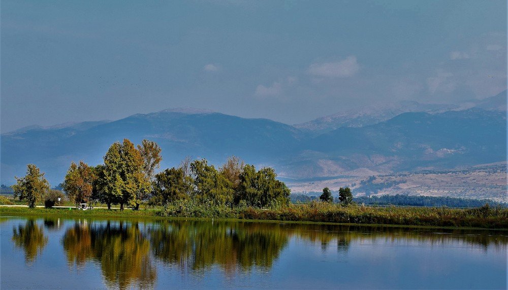 Photograph by Marina Eremin