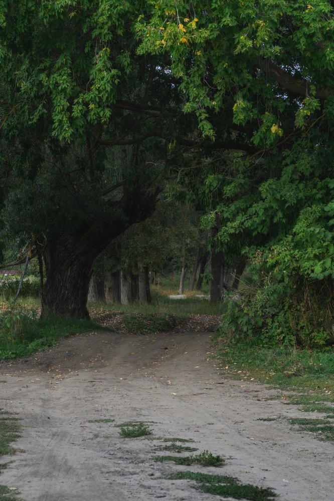 Про деревню и село_5.Аллея