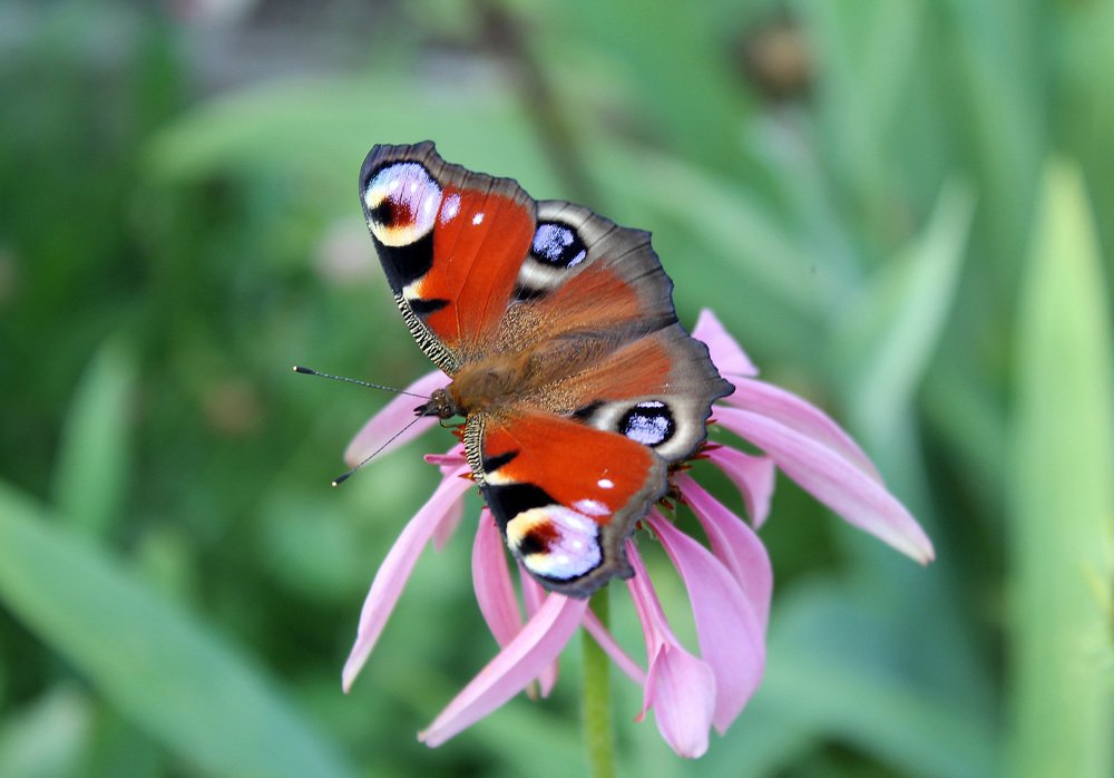 Photograph by Филиппов Олег