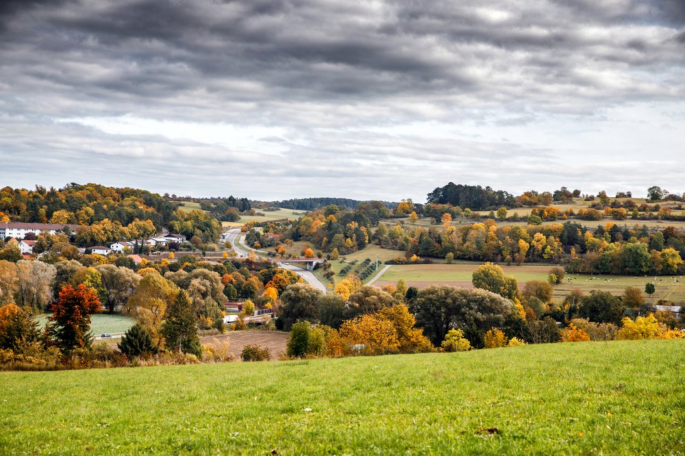 Фотография автора Гудкова Светлана