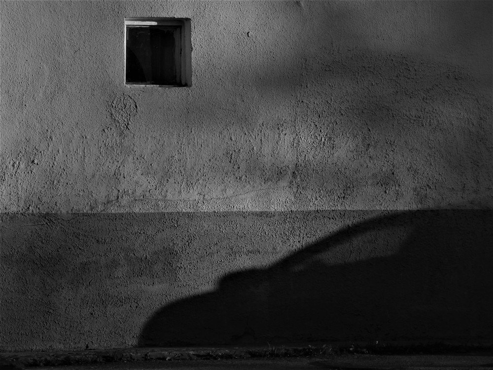 Photograph by Ирина Самойленко