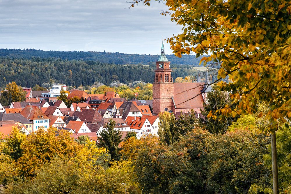 Фотография автора Гудкова Светлана